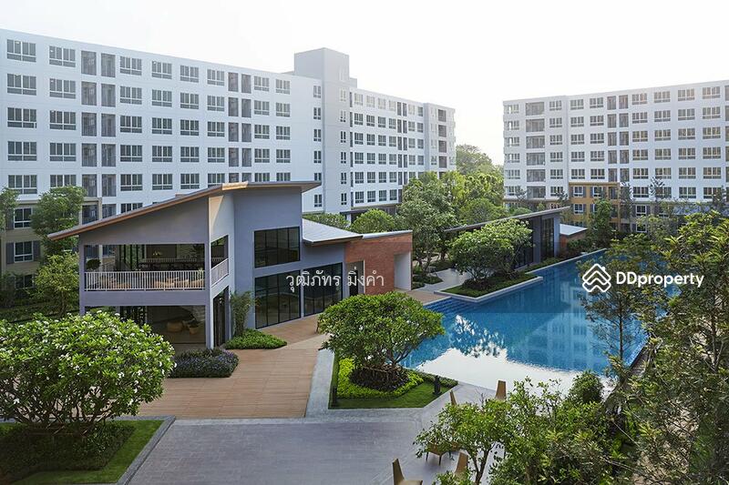 Dcondo Nim, Chiang Mai, 239 Hwy Chiang Mai-Lampang Frontage Road, Fa Ham, Muang Chiang Mai, Chiang Mai, 1 Bedroom, 30 sqm, Condo For Rent, by วุฒิภัทร มิ่งคำ, 11139030 - DDproperty.com