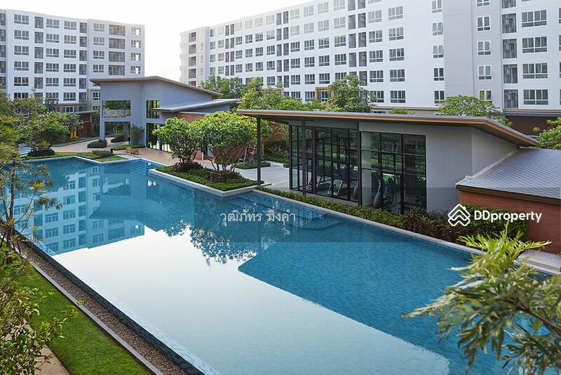 Dcondo Nim : ดีคอนโด นิม, เชียงใหม่, 239 ถนนซุปเปอร์ไฮเวย์ เชียงใหม่-ลำปาง, ฟ้าฮ่าม, เมืองเชียงใหม่, เชียงใหม่, 30 ตร.ม., คอนโด ให้เช่า, โดย วุฒิภัทร มิ่งคำ, 11139030 - DDproperty.com