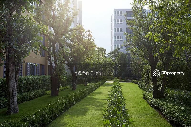 Dcondo Nim, Chiang Mai, 239 Hwy Chiang Mai-Lampang Frontage Road, Fa Ham, Muang Chiang Mai, Chiang Mai, 1 Bedroom, 30 sqm, Condo For Rent, by วุฒิภัทร มิ่งคำ, 11139030 - DDproperty.com