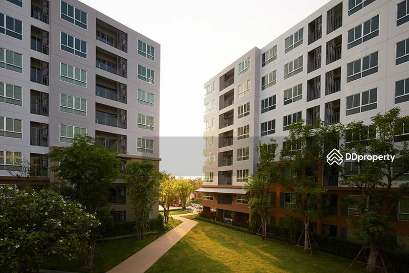 Dcondo Nim, Chiang Mai, 239 Hwy Chiang Mai-Lampang Frontage Road, Fa Ham, Muang Chiang Mai, Chiang Mai, 1 Bedroom, 30 sqm, Condo For Rent, by วุฒิภัทร มิ่งคำ, 11139030 - DDproperty.com