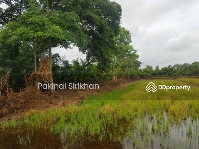 ขาย - ที่ดินเปล่า ต.ห้วยทราย อ.สันกำแพง เชียงใหม่, เชียงใหม่