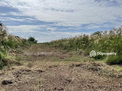 ขาย - ขายที่ดินรังสิต-คลอง 9 ด่วนมาก ขายต่ำกว่าราคาตลาด เนื้อที่ 2 ไร่ จากถนนรังสิต-นครนายก ห่าง 150 เมตร, ปทุมธานี