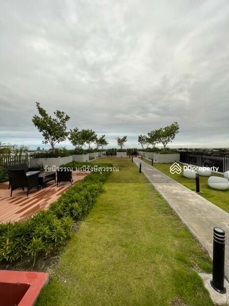 The Cube Loft Srinakarin, Samut Prakan, ศรีนครินทร์, Samrong Nua, Muang Samut Prakarn, Samut Prakan, 1 Bedroom, 29 sqm, Condo For Rent, by Ratchaneewan Maneerangsrisuwan, 11140591 - DDproperty.com