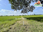 ที่ดินตำบลบ้านกลับ อำเภอหนองโดน สระบุรี เนื้อที่ 6 ไร่ ใกล้สถานีรถไฟหนองโดน, สระบุรี