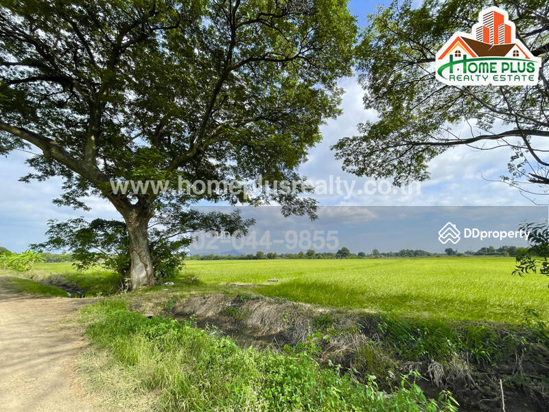 ขาย - ที่ดินตำบลบ้านกลับ อำเภอหนองโดน สระบุรี เนื้อที่ 6 ไร่ ใกล้สถานีรถไฟหนองโดน, สระบุรี