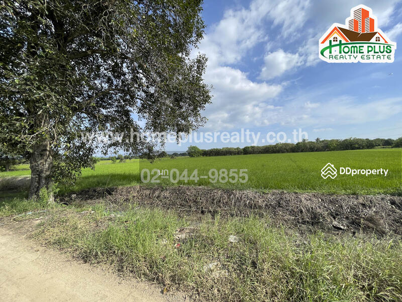 ขาย - ที่ดินตำบลบ้านกลับ อำเภอหนองโดน สระบุรี เนื้อที่ 6 ไร่ ใกล้สถานีรถไฟหนองโดน, สระบุรี