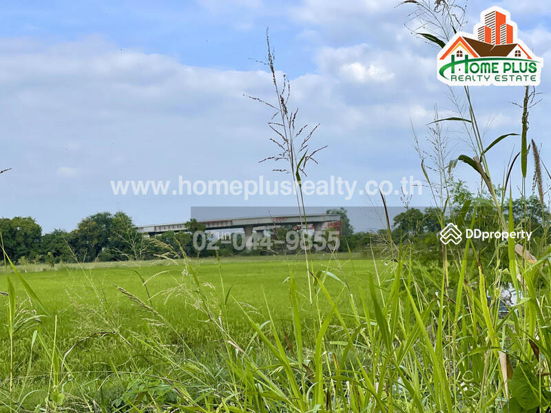 ขาย - ที่ดินตำบลบ้านกลับ อำเภอหนองโดน สระบุรี เนื้อที่ 6 ไร่ ใกล้สถานีรถไฟหนองโดน, สระบุรี