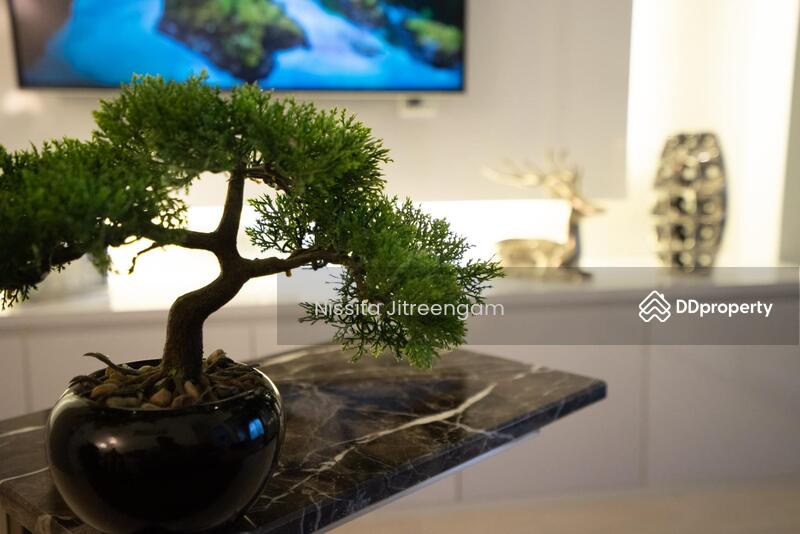 Knightsbridge Prime Sathorn, Bangkok, 599 Naradhiwas Rajanagarindra Road, Thung Maha Mek, Sathon, Bangkok, 1 Bedroom, 31 sqm, Condo For Rent, by Nissita Jitreengam, 11142753 - DDproperty.com