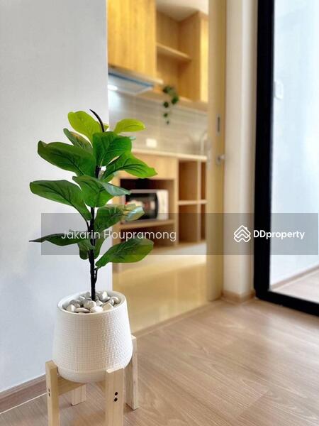 Chewathai Pinklao, Bangkok, Arun Amarin Road, Bang Yi Khan, Bang Phlat, Bangkok, 1 Bedroom, 30 sqm, Condo For Rent, by Jakarin Houpramong, 11143224 - DDproperty.com