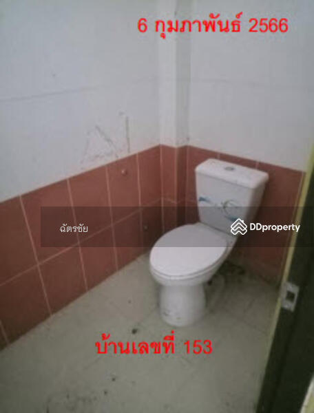 For Sale - บ้านเดี่ยวติดถนนสายฉลุง-ละงู จ.สตูล, Satun