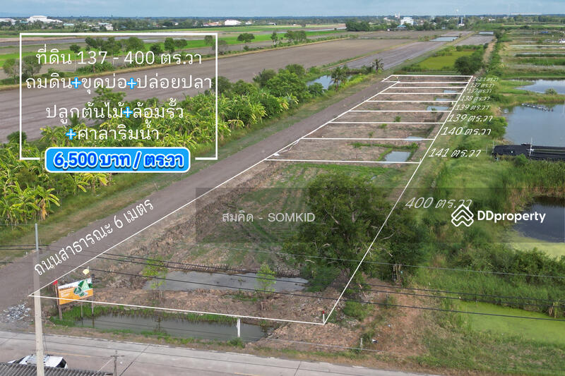 ขาย - ที่ดินแบ่งขาย ดอนฉิมพลี บางน้ำเปรี้ยว, ฉะเชิงเทรา