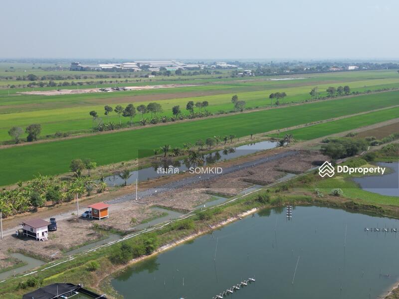 ขาย - ที่ดินแบ่งขาย ดอนฉิมพลี บางน้ำเปรี้ยว, ฉะเชิงเทรา