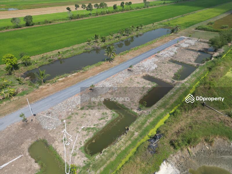 ขาย - ที่ดินแบ่งขาย ดอนฉิมพลี บางน้ำเปรี้ยว, ฉะเชิงเทรา