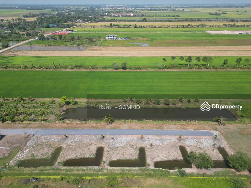 For Sale - Land for sale, Don Chim Phli Subdistrict. Bang Nam Priao District, Chachoengsao