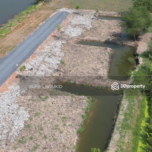 For Sale - Land for sale, Don Chim Phli Subdistrict. Bang Nam Priao District, Chachoengsao