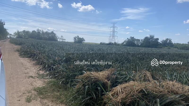 ขาย - ที่ดิน จ.ระยอง 11 ไร่, ระยอง