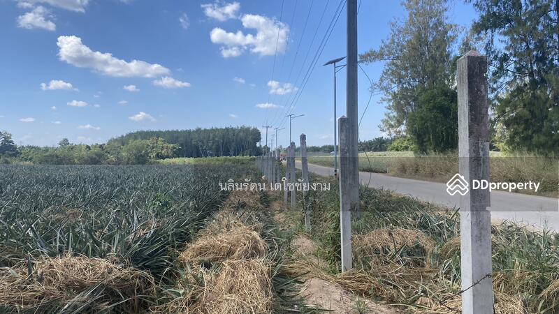 ขาย - ที่ดิน จ.ระยอง 11 ไร่, ระยอง