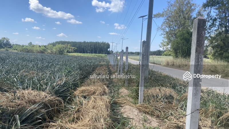 ขาย - ที่ดิน จ.ระยอง 11 ไร่, ระยอง