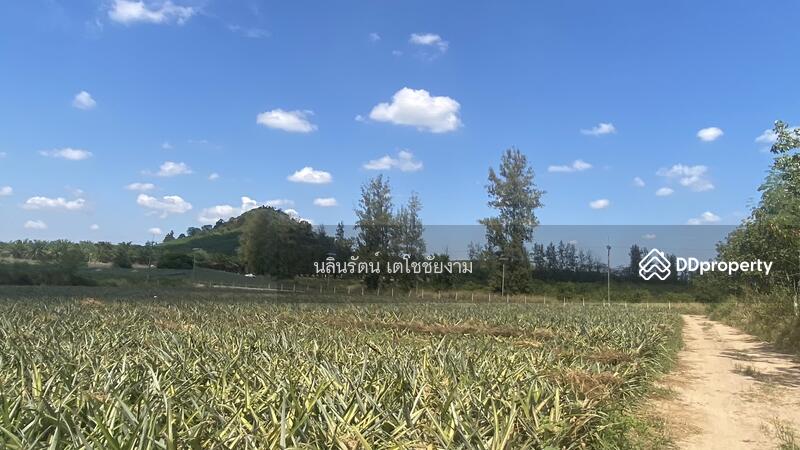 ขาย - ที่ดิน จ.ระยอง 11 ไร่, ระยอง