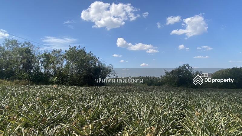 ขาย - ที่ดิน จ.ระยอง 11 ไร่, ระยอง