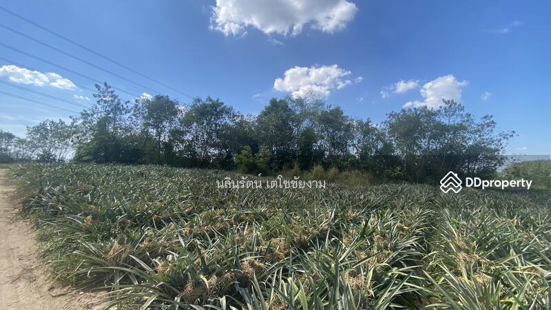 ขาย - ที่ดิน จ.ระยอง 11 ไร่, ระยอง