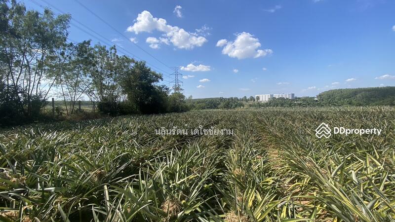 ขาย - ที่ดิน จ.ระยอง 11 ไร่, ระยอง