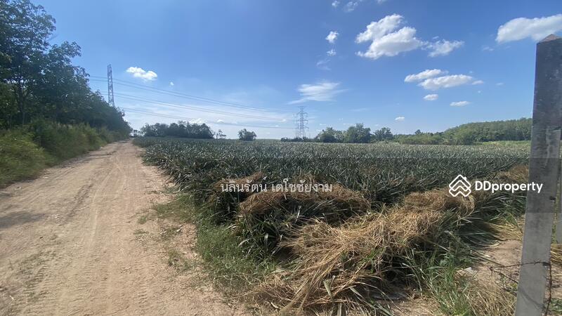 ขาย - ที่ดิน จ.ระยอง 11 ไร่, ระยอง