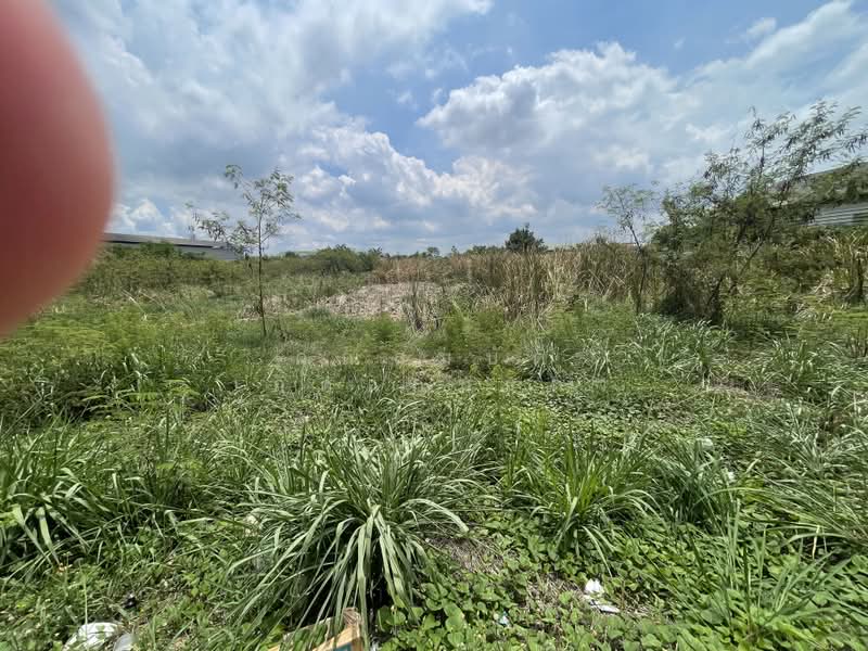 สมุทรสาคร, Samut Sakhon, Khok Krabu, Muang Samut Sakhon, Samut Sakhon, , 15,600 sqm, Land For Sale, by วนิดา เด่นไกรรักษ์, 11150073 - DDproperty.com