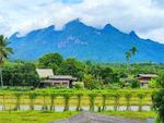 เชียงดาว, เชียงใหม่