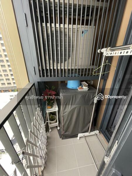 Oka Haus Sukhumvit 36 : โอกะ เฮ้าส์ สุขุมวิท 36, กรุงเทพ, 3399 ถนนพระรามที่ ๔, คลองตัน, คลองเตย, กรุงเทพ, 50 ตร.ม., คอนโด ขาย, โดย ธีรดนย์ ชาวปากน้ำ, 11151408 - DDproperty.com