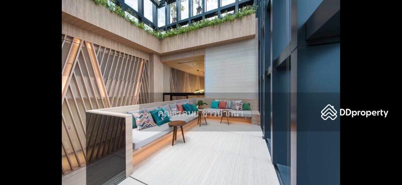 Oka Haus Sukhumvit 36, Bangkok, 3399 Rama 4 Road, Khong Tan, Khlong Toei, Bangkok, 2 Bedrooms, 50 sqm, Condo For Sale, by ธีรดนย์ ชาวปากน้ำ, 11151408 - DDproperty.com