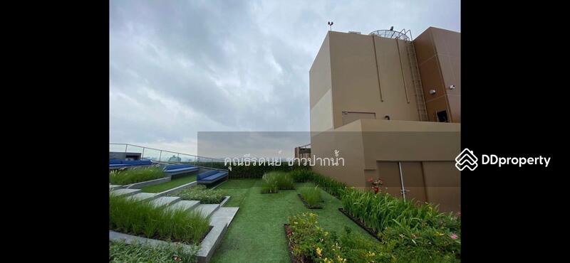 Oka Haus Sukhumvit 36, Bangkok, 3399 Rama 4 Road, Khong Tan, Khlong Toei, Bangkok, 2 Bedrooms, 50 sqm, Condo For Sale, by ธีรดนย์ ชาวปากน้ำ, 11151408 - DDproperty.com