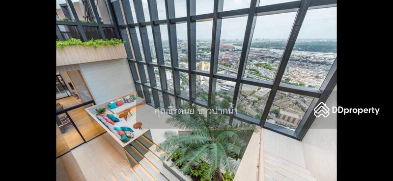 Oka Haus Sukhumvit 36 : โอกะ เฮ้าส์ สุขุมวิท 36, กรุงเทพ, 3399 ถนนพระรามที่ ๔, คลองตัน, คลองเตย, กรุงเทพ, 50 ตร.ม., คอนโด ขาย, โดย ธีรดนย์ ชาวปากน้ำ, 11151408 - DDproperty.com