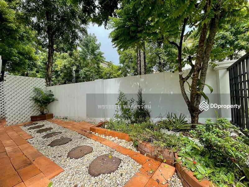 Baan Klang Krung Grande Vienna Rama 3 : บ้านกลางกรุง แกรนด์ เวียนนา พระราม 3, กรุงเทพ, ถนนพระราม 3, บางโพงพาง, ยานนาวา, กรุงเทพ, 296 ตร.ม., ทาวน์เฮ้าส์ ให้เช่า, โดย รัฐพล ศิวาโมกข์, 11153663 - DDproperty.com