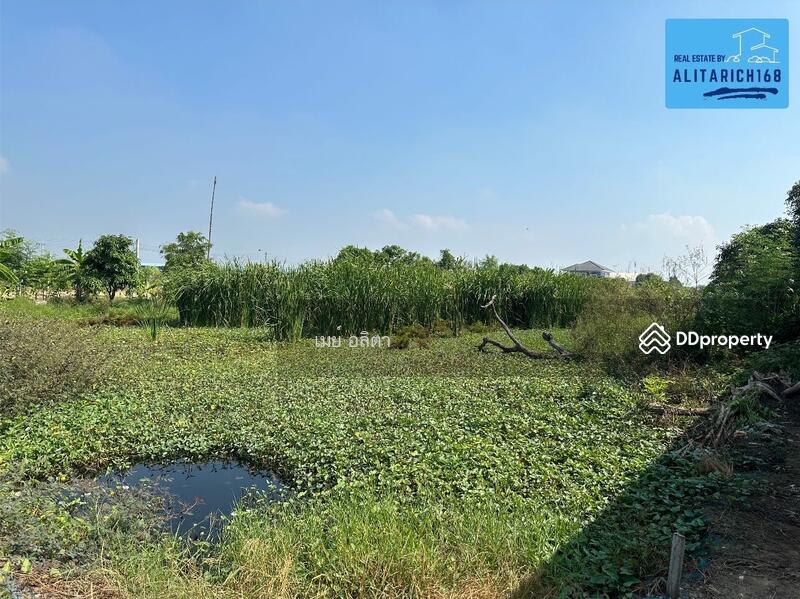 ขาย - ที่ดินเปล่า ซอยวัดศรีวารีน้อย ต.ศรีษะจรเข้ใหญ่ อ.บางพลี จ.สมุทรปราการ, สมุทรปราการ