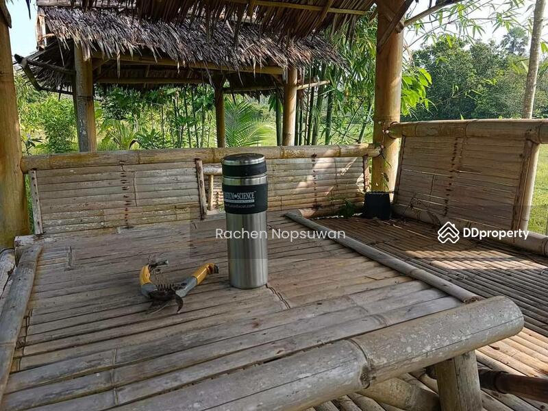 ขาย - ที่ดินบางกล่ำ, สงขลา