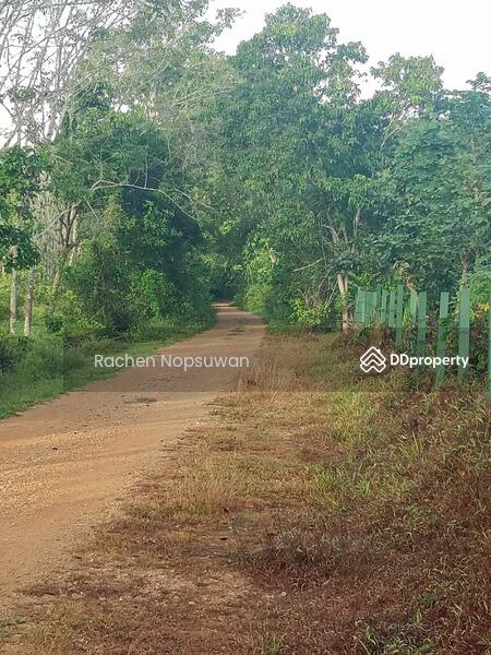 For Sale - ที่ดินบางกล่ำ, Songkhla