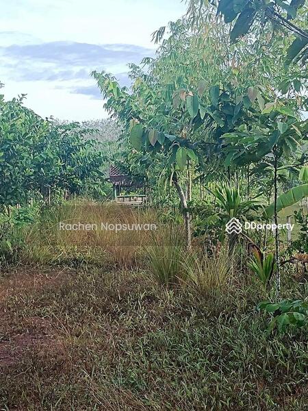 ขาย - ที่ดินบางกล่ำ, สงขลา