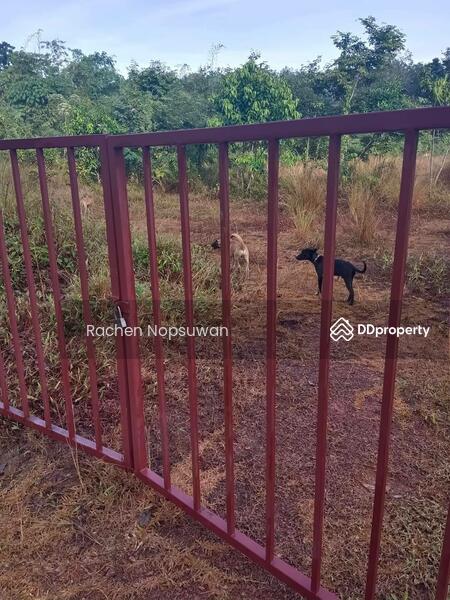 For Sale - ที่ดินบางกล่ำ, Songkhla