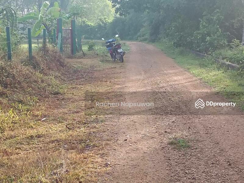 ขาย - ที่ดินบางกล่ำ, สงขลา
