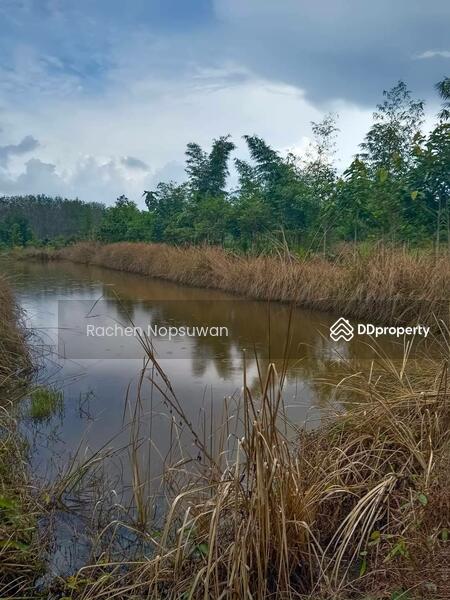 For Sale - ที่ดินบางกล่ำ, Songkhla
