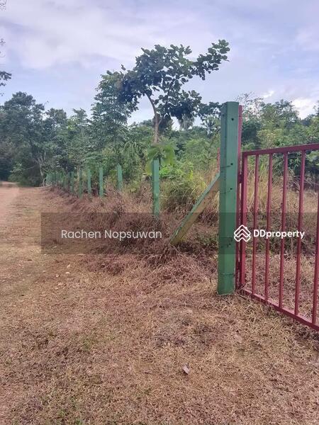 ขาย - ที่ดินบางกล่ำ, สงขลา