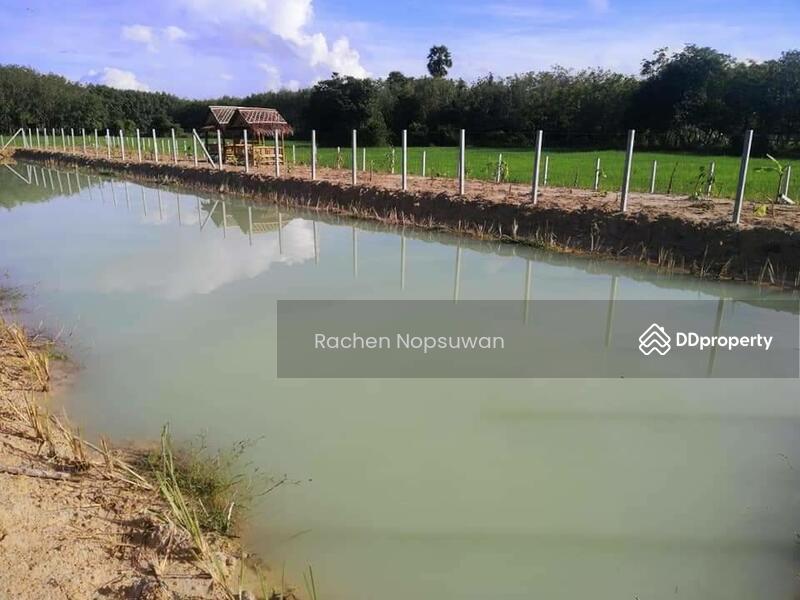 ขาย - ที่ดินบางกล่ำ, สงขลา