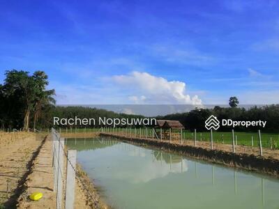 ขาย - ที่ดินบางกล่ำ, สงขลา