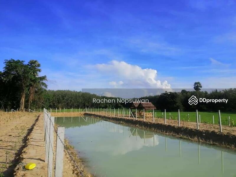 ขาย - ที่ดินบางกล่ำ, สงขลา