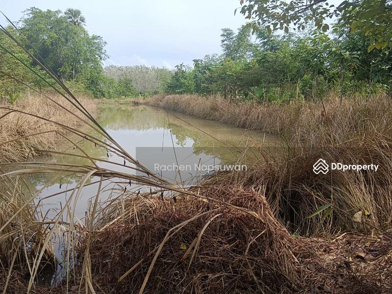 ขาย - ที่ดินบางกล่ำ, สงขลา