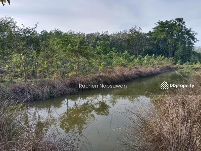 For Sale - ที่ดินบางกล่ำ, Songkhla