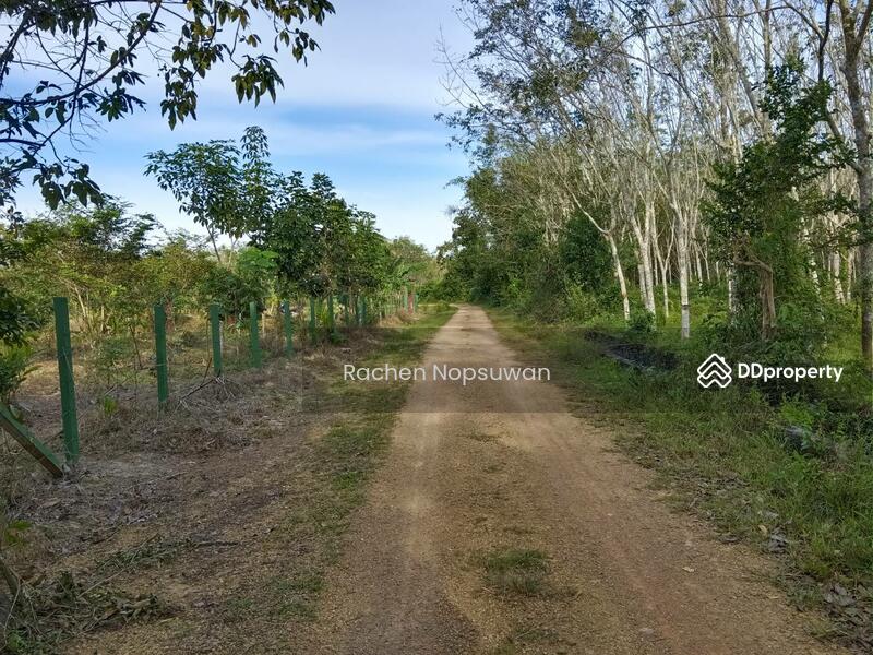 ขาย - ที่ดินบางกล่ำ, สงขลา