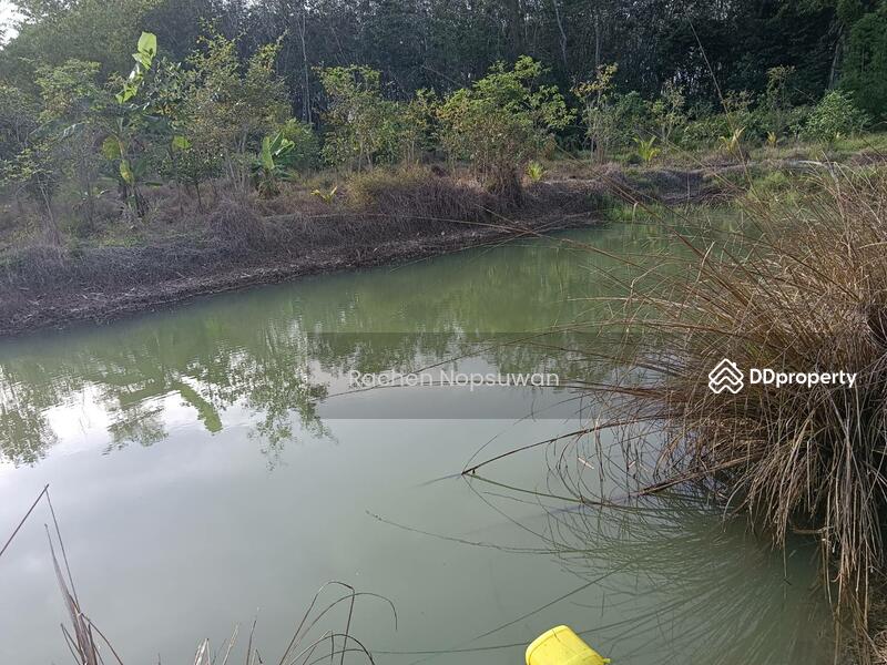 ขาย - ที่ดินบางกล่ำ, สงขลา