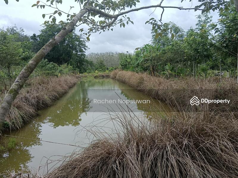 ขาย - ที่ดินบางกล่ำ, สงขลา